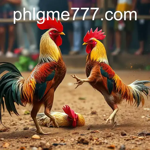 Gaming Experience GME777 - 800+ Premium and Exclusive Games